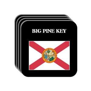  US State Flag   BIG PINE KEY, Florida (FL) Set of 4 Mini 