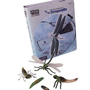    Dragonfly Metamorphosis Biological Science Kit Toys & Games