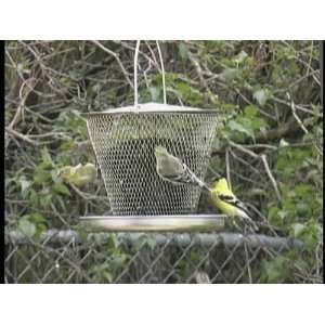  Tray Bird Seed Feeder   10 to 15 birds at one time 
