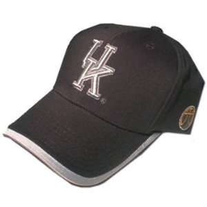  Nike Kentucky Wildcats Grey Elite Flex Fit Hat