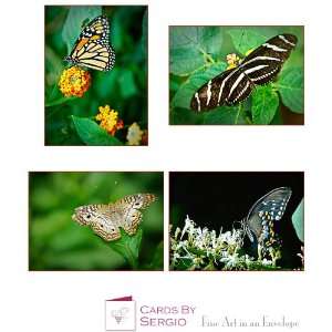   Prints matted 8x10, frame ready, set of 4.