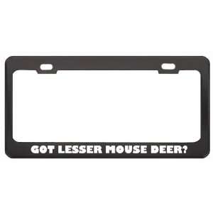 Got Lesser Mouse Deer? Animals Pets Black Metal License Plate Frame 