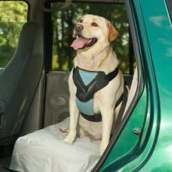 Bergan Dog Auto Car Harness With Tether Size Large  