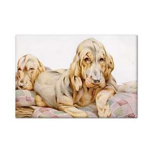  The Bloodhounds Fridge Magnet 