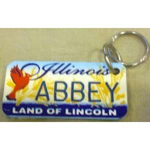 Illinois Land of Lincoln Abbey Keychain, Key Holder, Key 