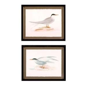  Seabird Tern Prints  Ballard Designs