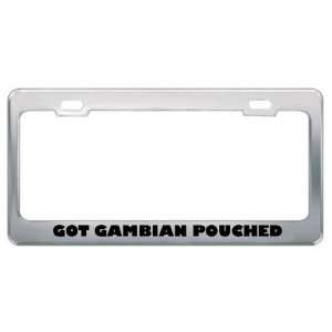 Got Gambian Pouched Rat? Animals Pets Metal License Plate Frame Holder 