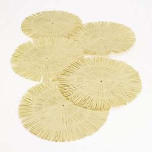   Fringe Place Mats   Tableware & Table Covers