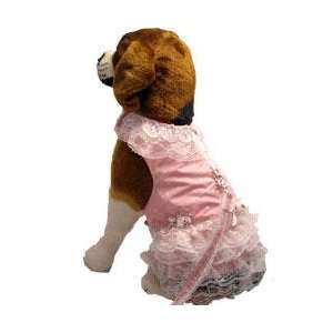  Cha Cha Couture Starlet Dreams Dog Dress and Harness 
