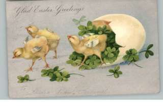Easter Chicks Leave Egg c1910 Postcard  