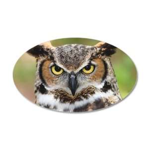    22x14 Oval Wall Vinyl Sticker Great Horned Owl 