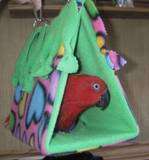 Brid Parrot Tent Prints items in Green Mnt Exotics 