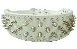 Studs Spikes 2 White Croc Leather Dog Collar 19 22  