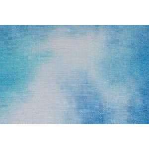  28 Ct. Sky Linen for Bluebird Trail 24x27 