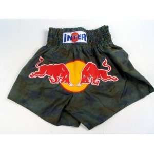 Muay Thai Shorts 