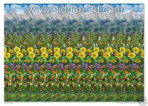 Butterfly Meadow 18x13 3D Stereogram Poster Hidden 3D  