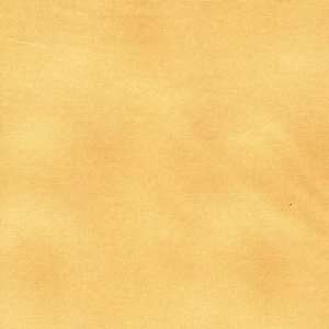  Stipple quilt fabric by Timeless Treasures C7966 CAMEL 