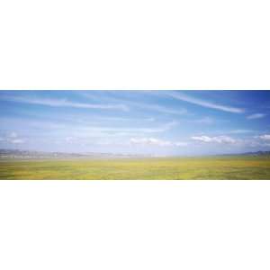 Carrizo Plain, California, USA by Panoramic Images , 24x8 