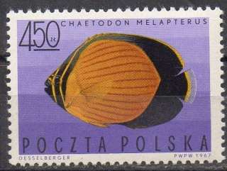 450Zt STAMP FROM POLAND TROPICAL FISH STAMP MHR  