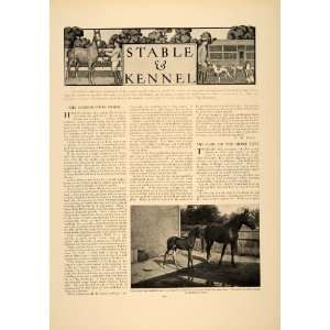   Dog Tamblin Pitkin Country   Original Print Article