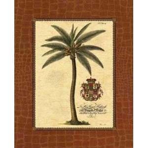  Coconut Palm Georg Ehret. 16.00 inches by 20.00 inches 