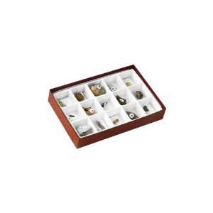   Educational 3120 S 15 Piece Cenozoic Fossils Specimens Collection