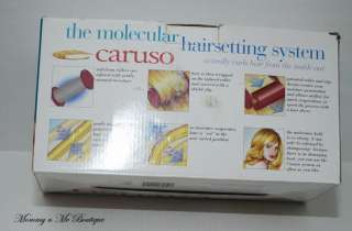 New Richard Caruso Molecular Steam Hairsetting System Rollers Curlers 