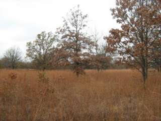 10ac / Oklahoma Land   Electric Close By; Small Pond; Great Soil for 