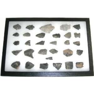   Fragments & Flint Collection in Riker Display Case 