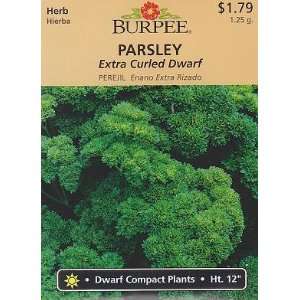  Burpee Extra Curled Dwarf Parsley   750 Seeds Patio, Lawn 