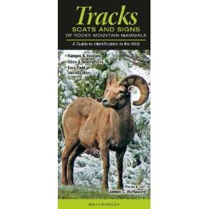  Tracks, Scats and Signs of Rocky Mountain Mammals (Common 