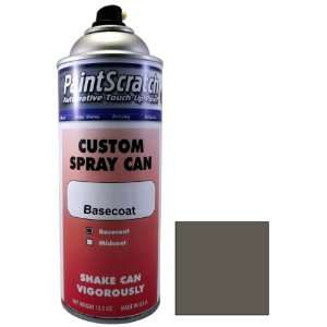   Touch Up Paint for 2009 Ford Police Car (color code HG) and Clearcoat