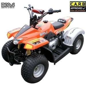  50cc BMS 50 Fully Automatic Kid ATV Automotive
