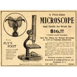  1899 Ad Bausch & Lomb Optical Co Microscope Flys Foot 