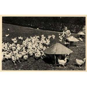  1943 Dansk Honsefarm Danish Chicken Farm Girl Poultry 