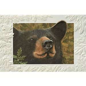  Somethins Bruin Bday   Everyday Greeting Cards. Pack of 6 