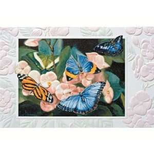   Butterflies Get Well (Greeting Cards) (Butterfly) 