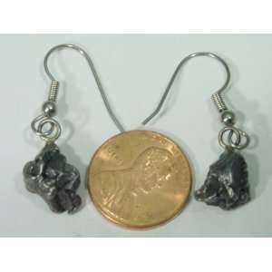  Genuine Campo Del Cielo Meteorite Earings Lapidary 