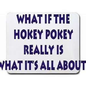  What if the Hokey pokey really is what its all about 