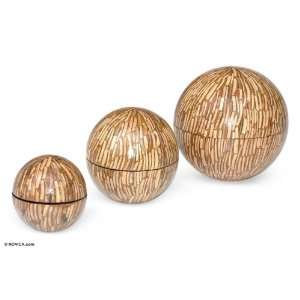   and coconut shell jewelry boxes, Coconut Core