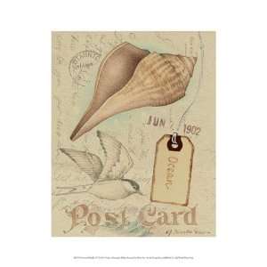   Postcard Shells IV   Poster by Nancy Shumaker (9.5x13)