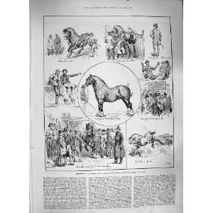  1886 SHIRE HORSE SHOW ROYAL AGRICULTURAL HALL ISLINGTON 