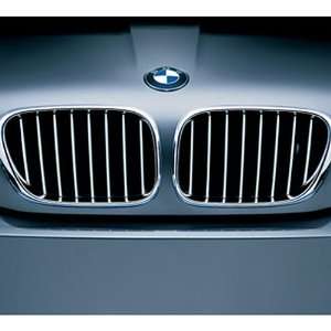BMW Titanium Grille Right Front Radiator Grille for vehicles produced 