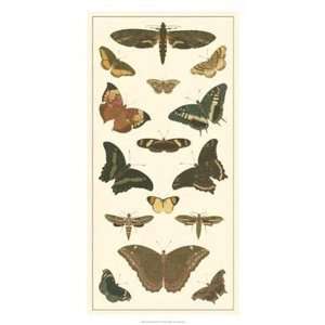  Cramer Butterfly Panel II by Pieter Cramer 16.00X30.00 