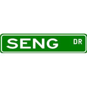 SENG Street Sign ~ Family Lastname Sign ~ Gameroom, Basement, Garage 