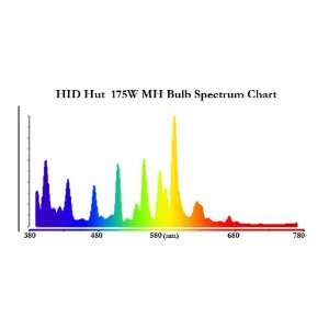  Full Spectrum 175W Metal Halide  4000K color temp Patio 