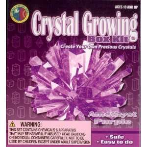  Crystal Growing   Complete Science Kit   Amethyst Purple 