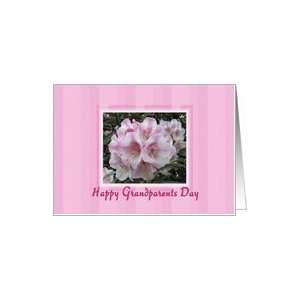  Grandparents Day   Rhododendrhon Card Health & Personal 