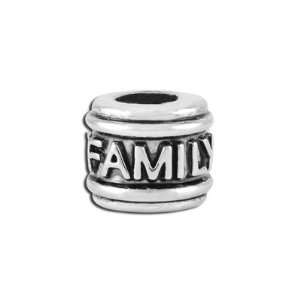  10mm FAMILY Large Hole Bead   Rhodium Plated Arts, Crafts 