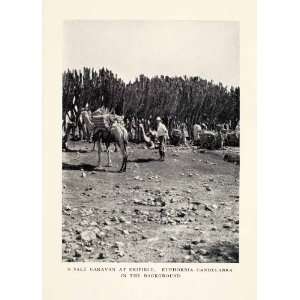  1935 Print Salt Caravan Ethiopia Danakil Desert Africa 
